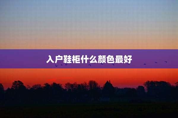 入户鞋柜什么颜色最好