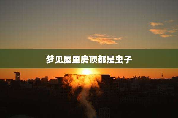 梦见屋里房顶都是虫子