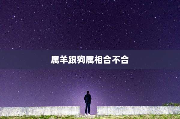 属羊跟狗属相合不合