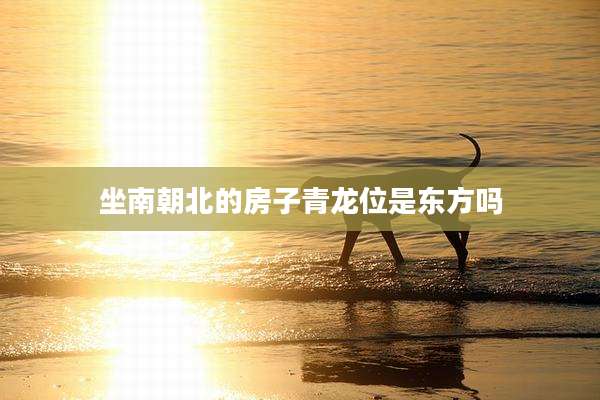 坐南朝北的房子青龙位是东方吗