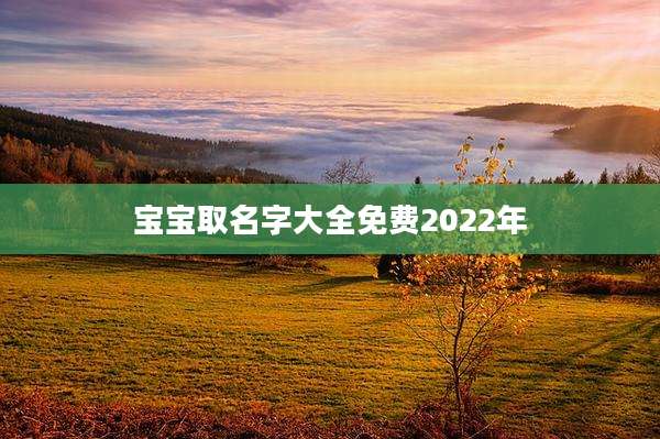 宝宝取名字大全免费2022年