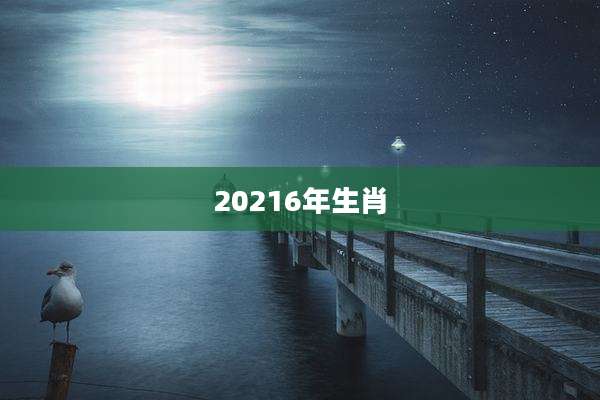 20216年生肖