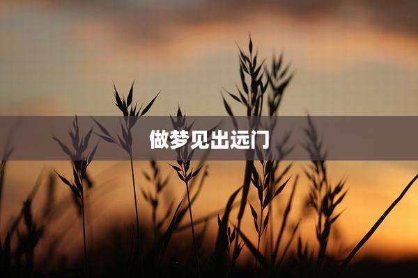 做梦见出远门