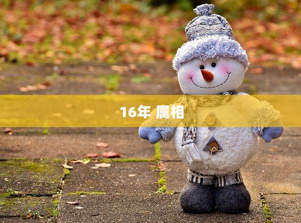16年 属相