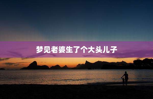 梦见老婆生了个大头儿子