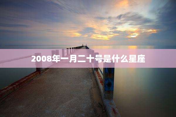 2008年一月二十号是什么星座