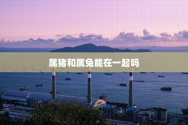 属猪和属兔能在一起吗