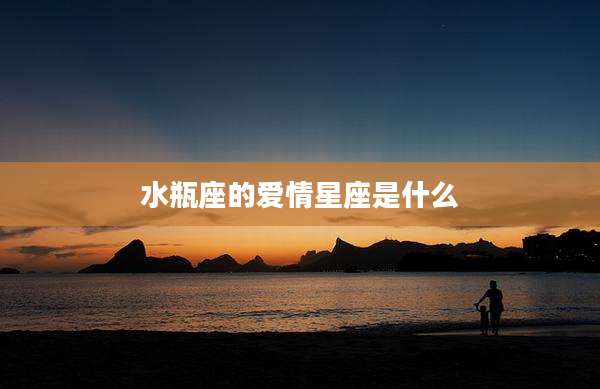 水瓶座的爱情星座是什么