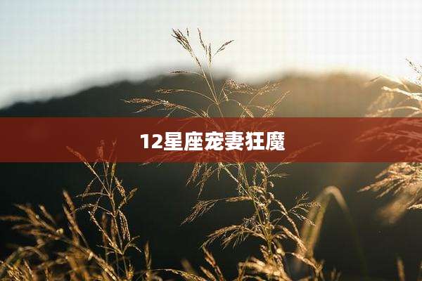 12星座宠妻狂魔