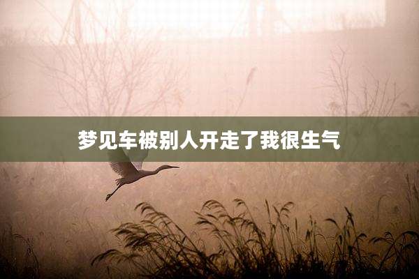 梦见车被别人开走了我很生气