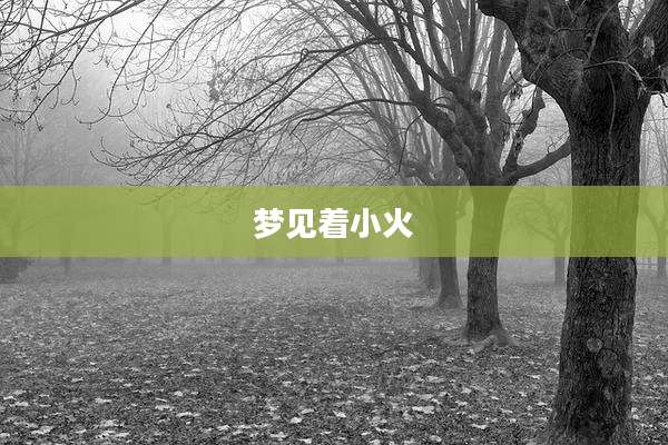 梦见着小火
