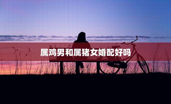 属鸡男和属猪女婚配好吗