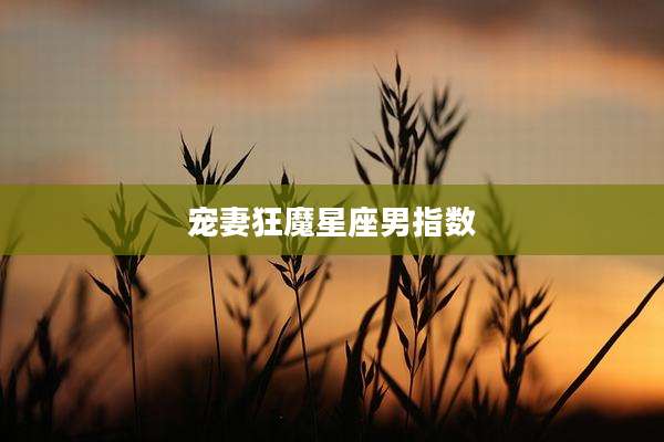 宠妻狂魔星座男指数