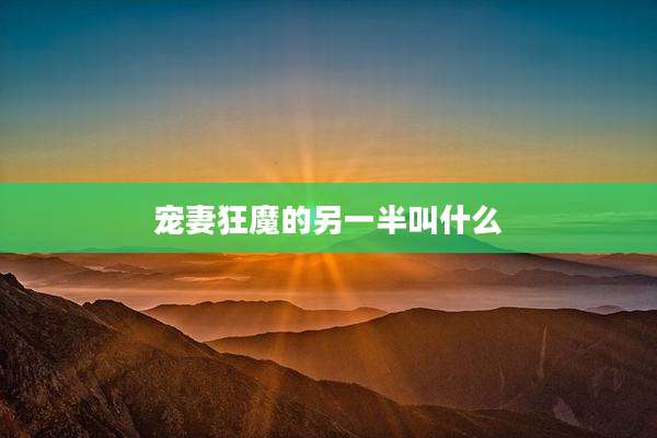 宠妻狂魔的另一半叫什么