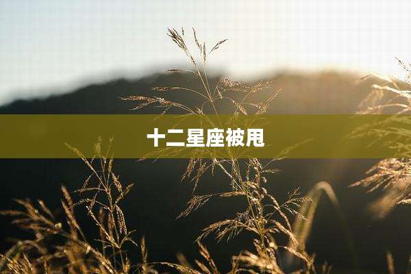 十二星座被甩