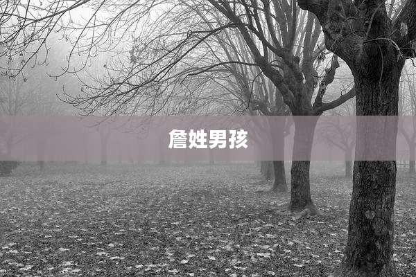 詹姓男孩