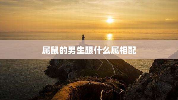 属鼠的男生跟什么属相配