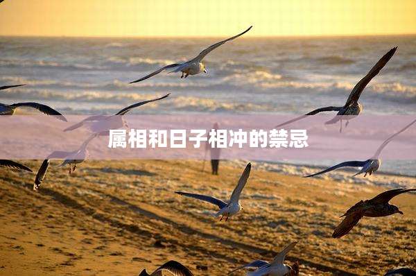 属相和日子相冲的禁忌