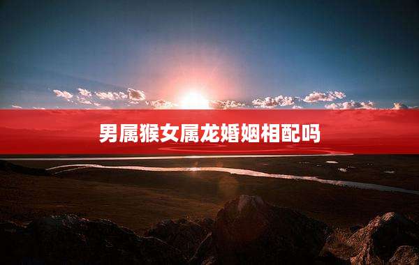 男属猴女属龙婚姻相配吗