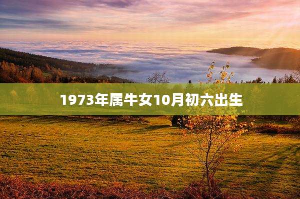 1973年属牛女10月初六出生
