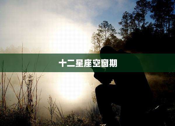 十二星座空窗期