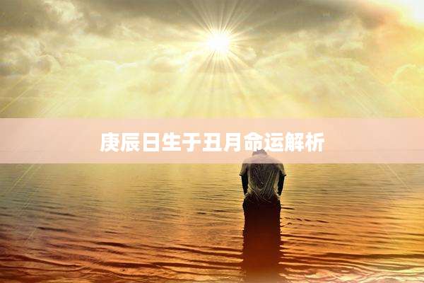 庚辰日生于丑月命运解析
