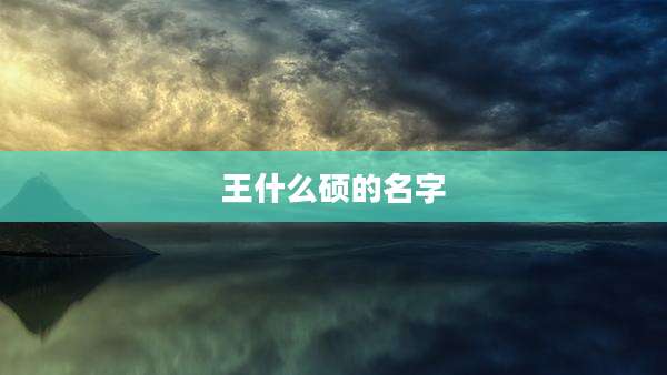 王什么硕的名字