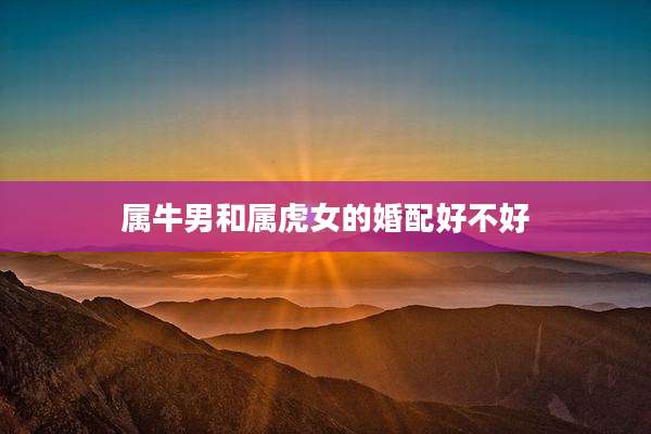 属牛男和属虎女的婚配好不好