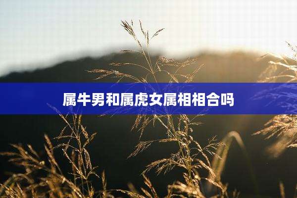 属牛男和属虎女属相相合吗