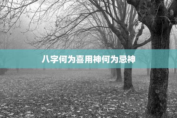 八字何为喜用神何为忌神