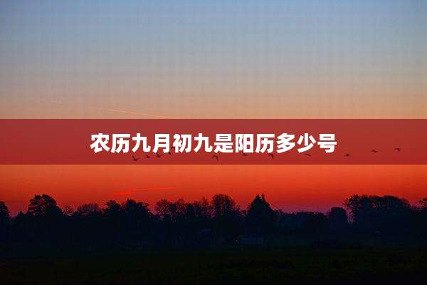 农历九月初九是阳历多少号