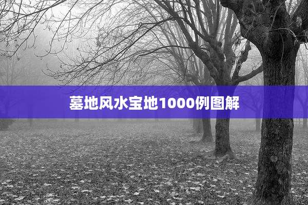 墓地风水宝地1000例图解