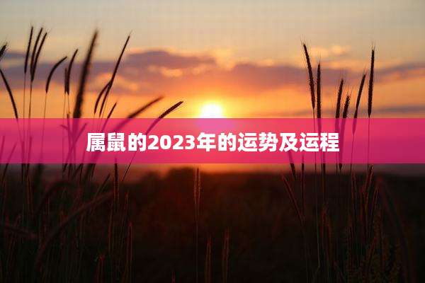 属鼠的2023年的运势及运程