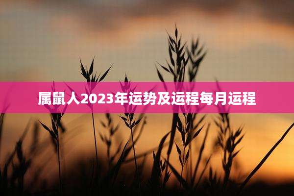 属鼠人2023年运势及运程每月运程