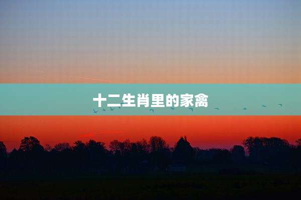 十二生肖里的家禽
