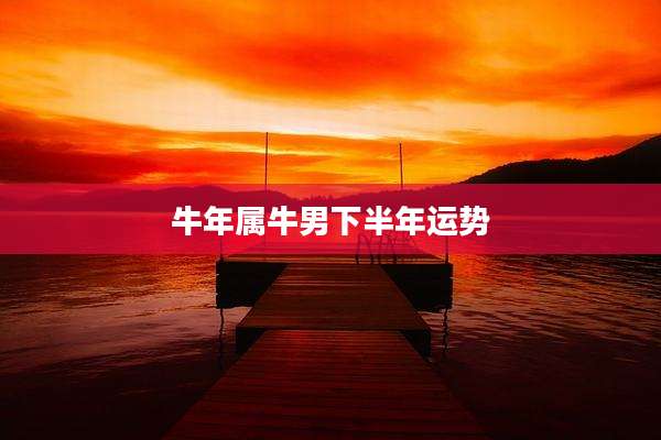 牛年属牛男下半年运势