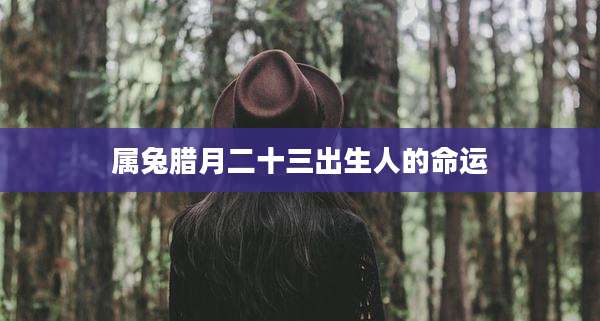 属兔腊月二十三出生人的命运