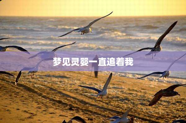 梦见灵婴一直追着我