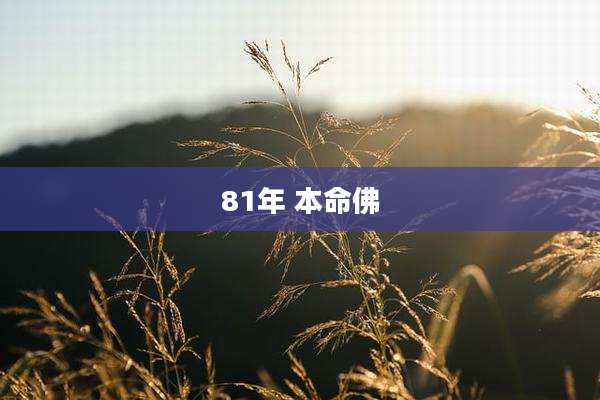 81年 本命佛