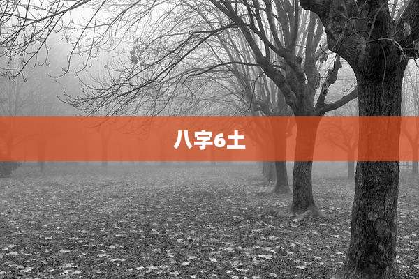 八字6土