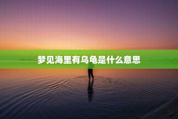 梦见海里有乌龟是什么意思