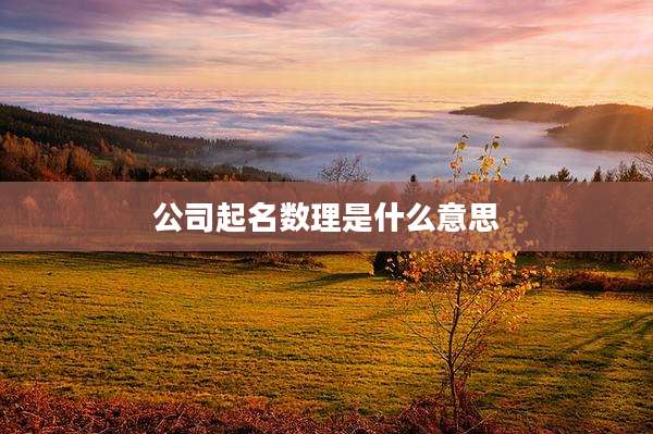 公司起名数理是什么意思