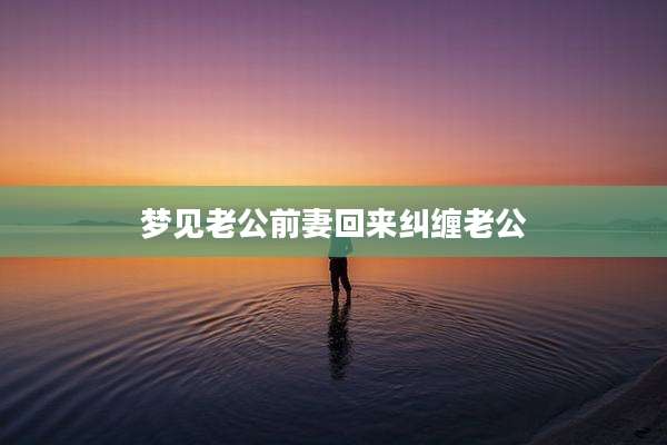 梦见老公前妻回来纠缠老公