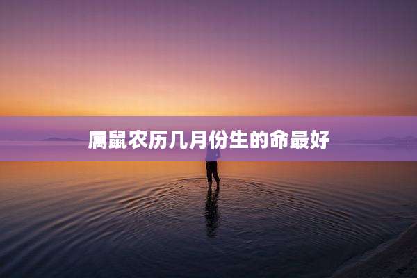 属鼠农历几月份生的命最好