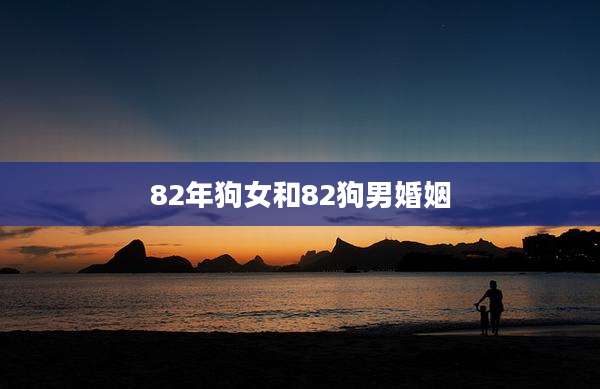 82年狗女和82狗男婚姻