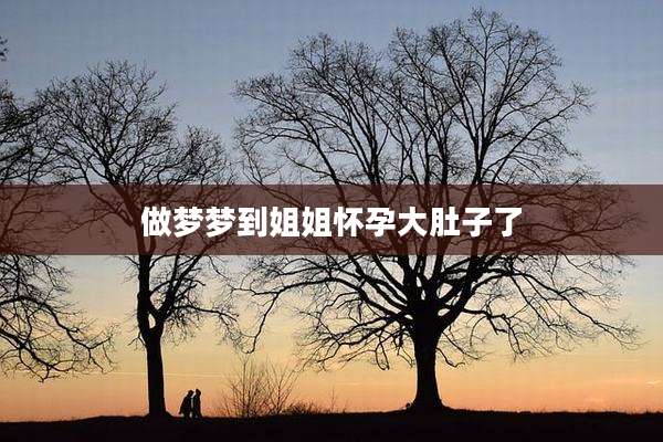 做梦梦到姐姐怀孕大肚子了