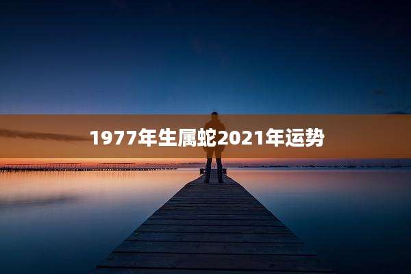 1977年生属蛇2021年运势
