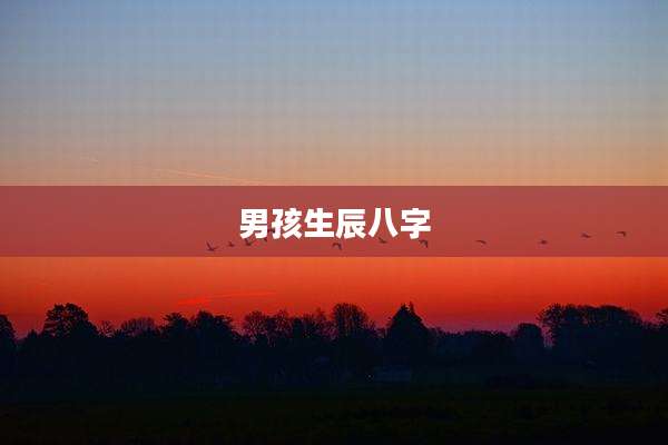 男孩生辰八字