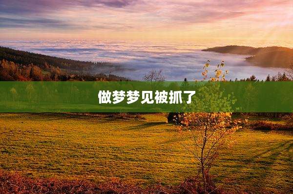 做梦梦见被抓了