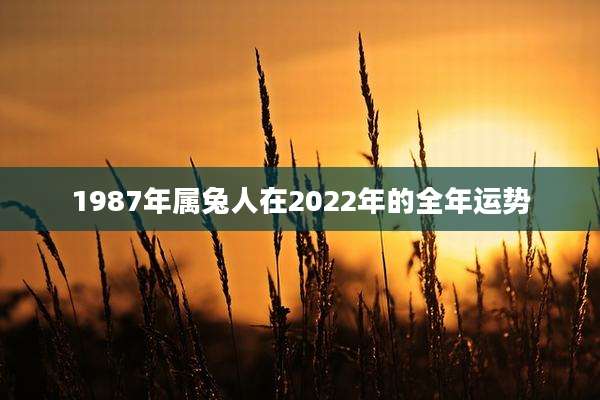 1987年属兔人在2022年的全年运势